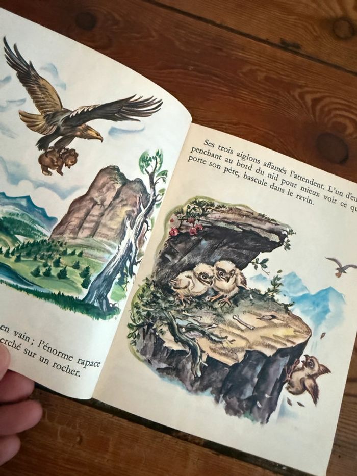 Livre ancien vintage Boum et ses frères ours les albums roses Hachette Pierre Probst Caroline - photo numéro 4