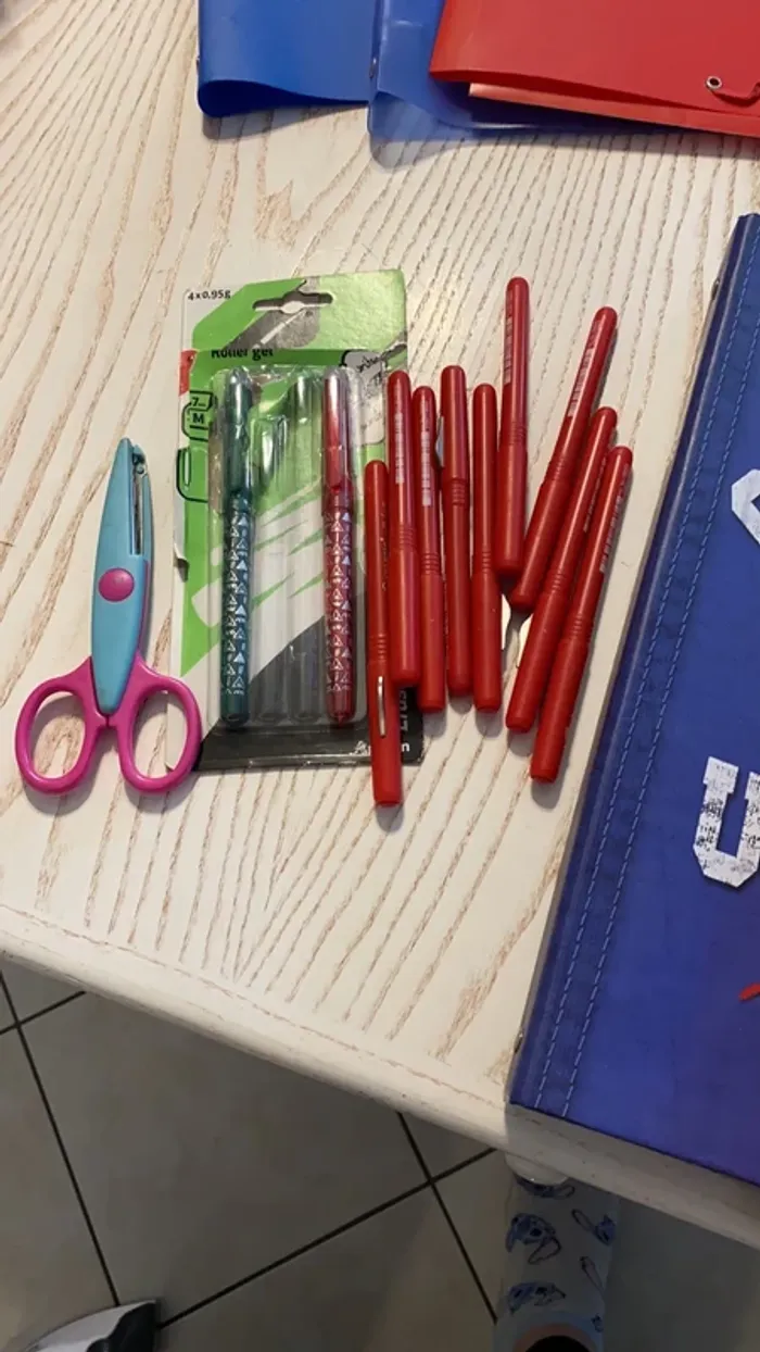 gros lot scolaires classeurs cahiers trieurs porte vues etc - photo numéro 6