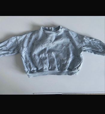 Sweat bébé 12 mois