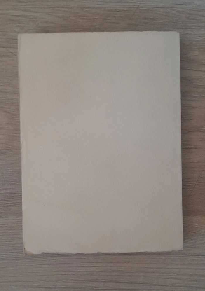 Rue de Madagascar leontine drapier-cadec - photo numéro 5