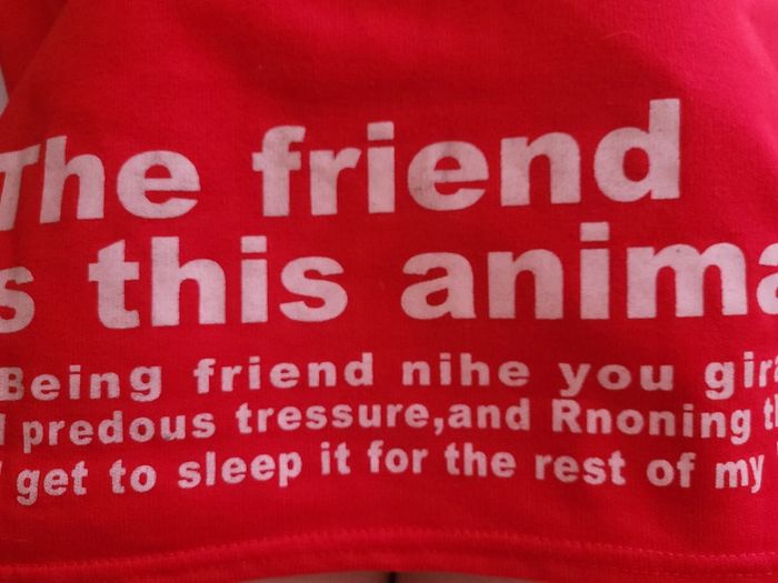 Sweat à capuche - photo numéro 2