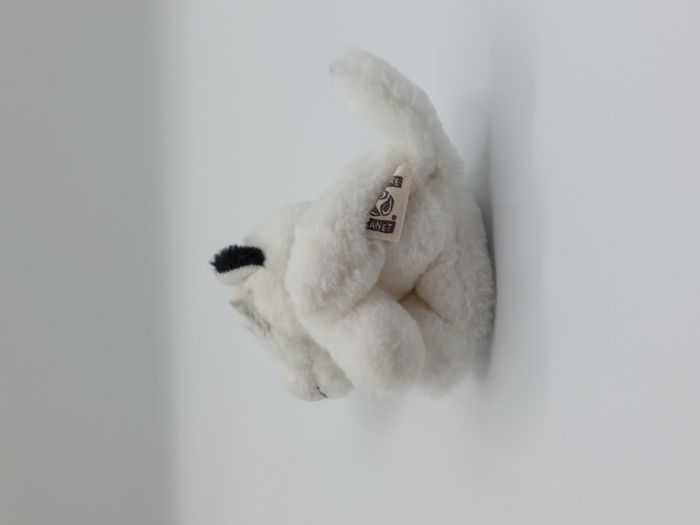 Petite peluche doudou tigre blanc NATURE PLANET gros yeux bleus rayé noir 14 cm - photo numéro 3