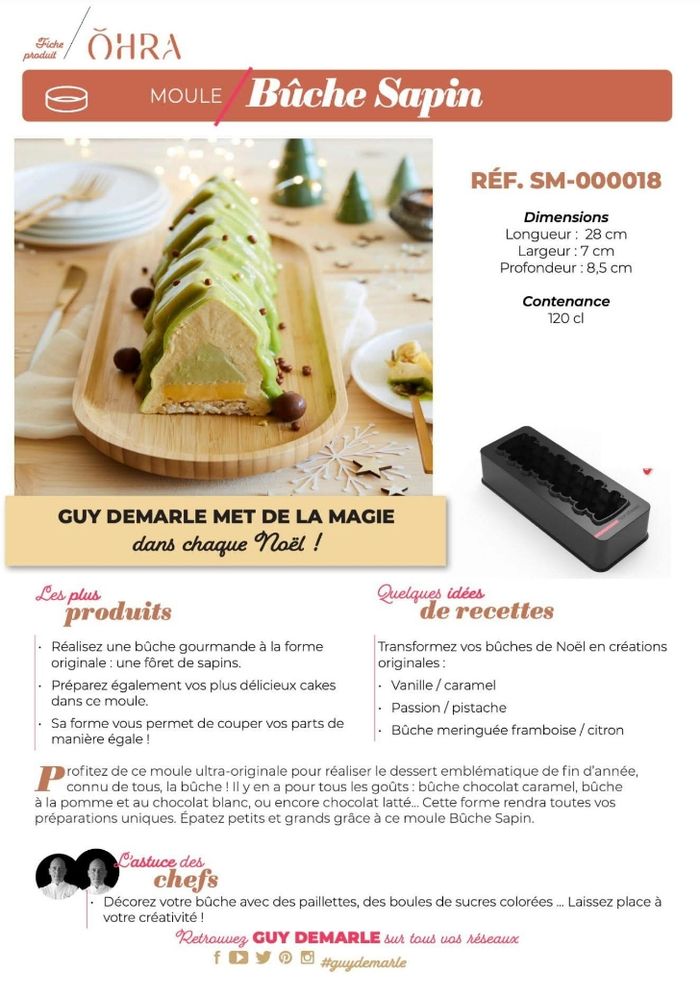 Offre moule bûche sapin guy demarle - photo numéro 3