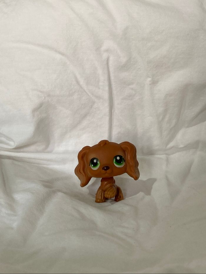 lps cocker