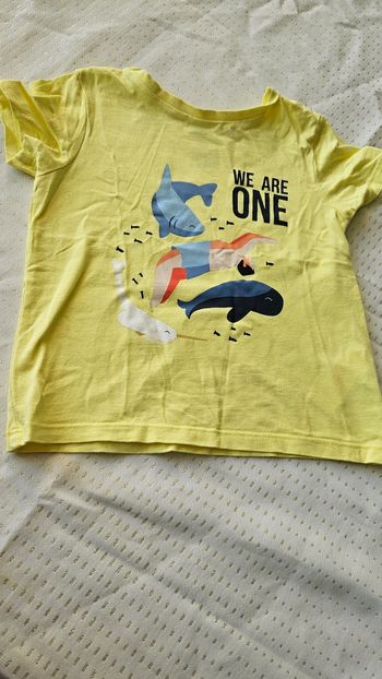 Tee-shirt poisson