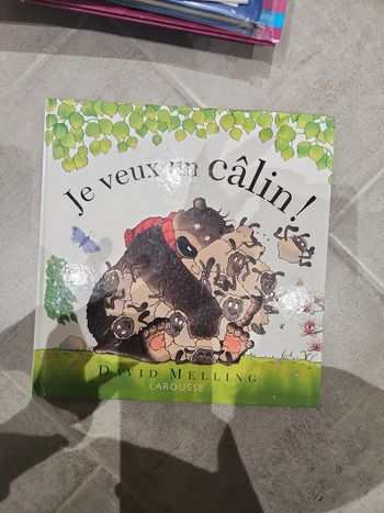 Livre enfant : je veux un gros calin !