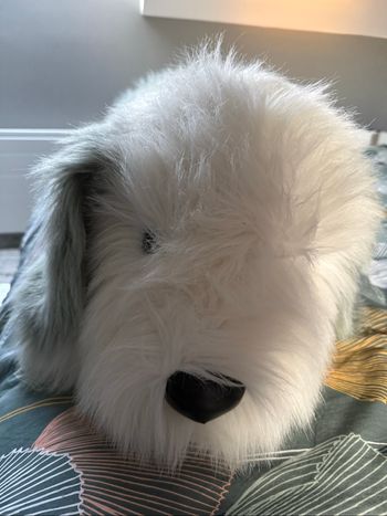 Chien peluche 90cm bobtail