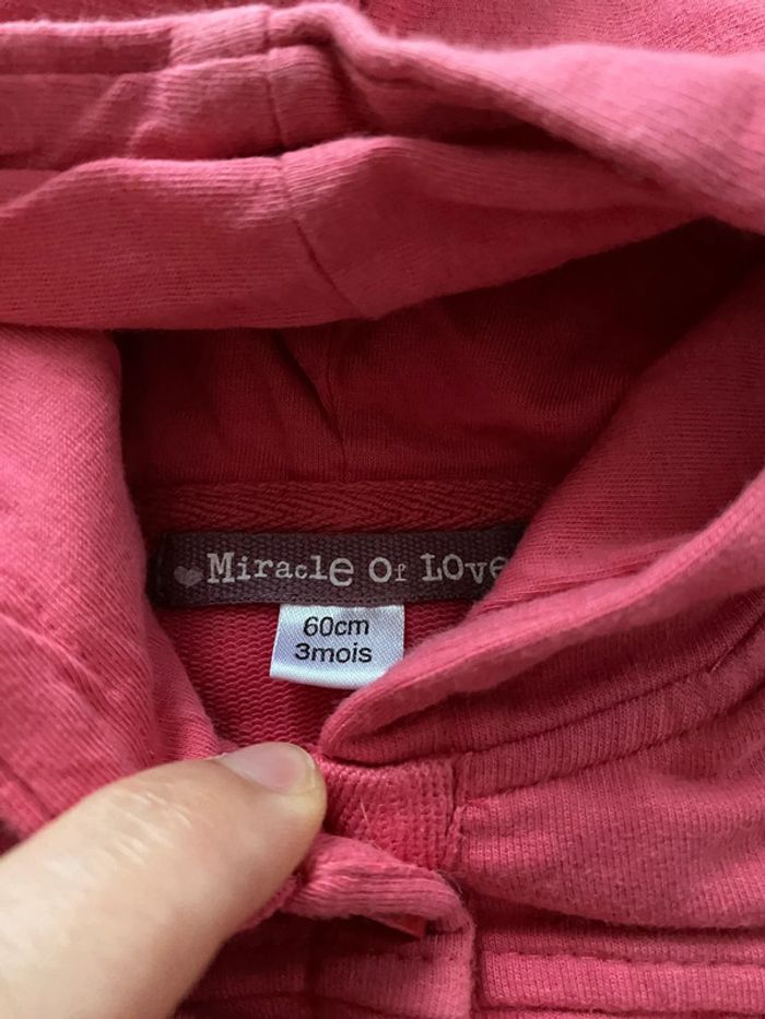 Lot de gilets capuche 3 mois - photo numéro 3