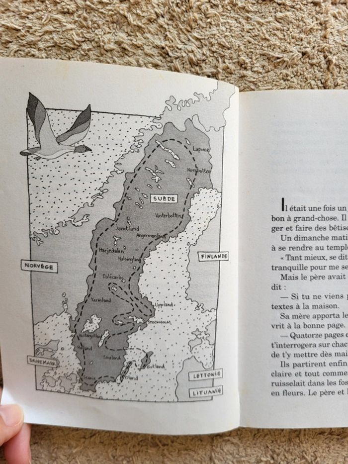 Livre Le merveilleux voyage de Nils Holgersson à travers La Suède de Selma Lagerlöf - Castor Poche - photo numéro 6