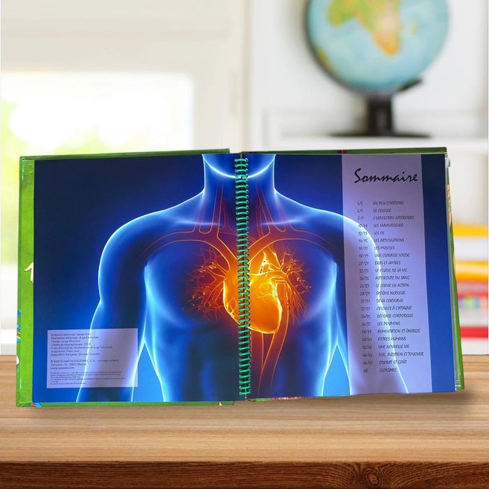 Livre éducatif illustré grand format + poster géant - Le corps humain - photo numéro 4