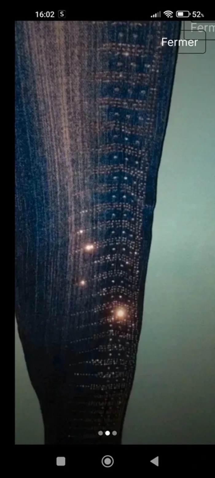 Legging avec strass - photo numéro 3