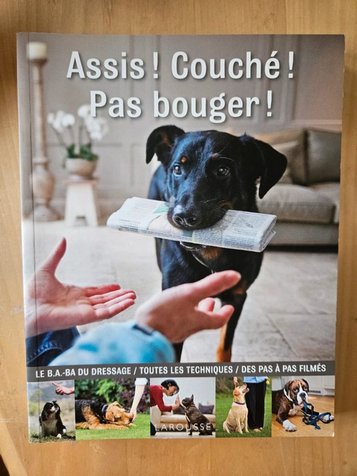 Livre Assis, Couché, Pas bouger