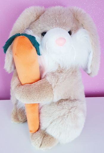 🧸 Peluche lapin 🧸