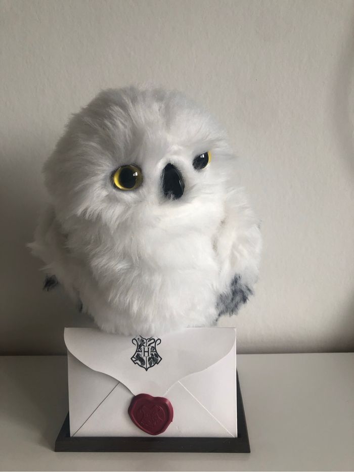 Chouette Harry Potter - photo numéro 2