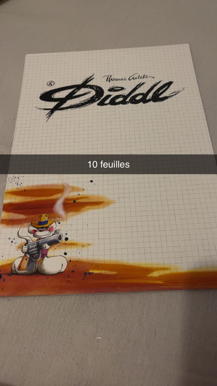 Lot de 15 blocs diddl A4 - photo numéro 7
