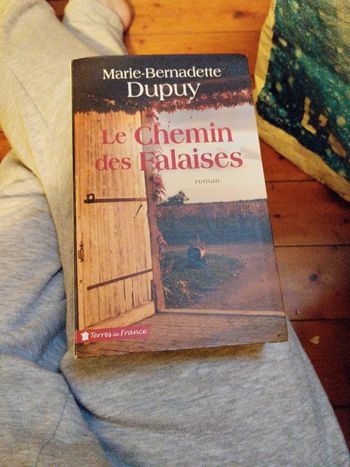 Le chemin des falaises