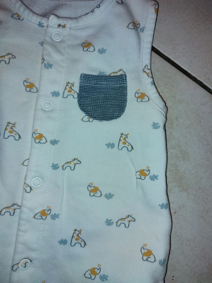 Grenouillère - photo numéro 3