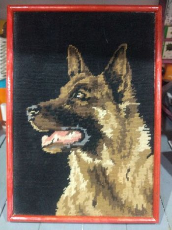 Cadre chien
