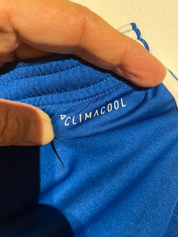 Short Olympique de Marseille 2015-2016 - photo numéro 6