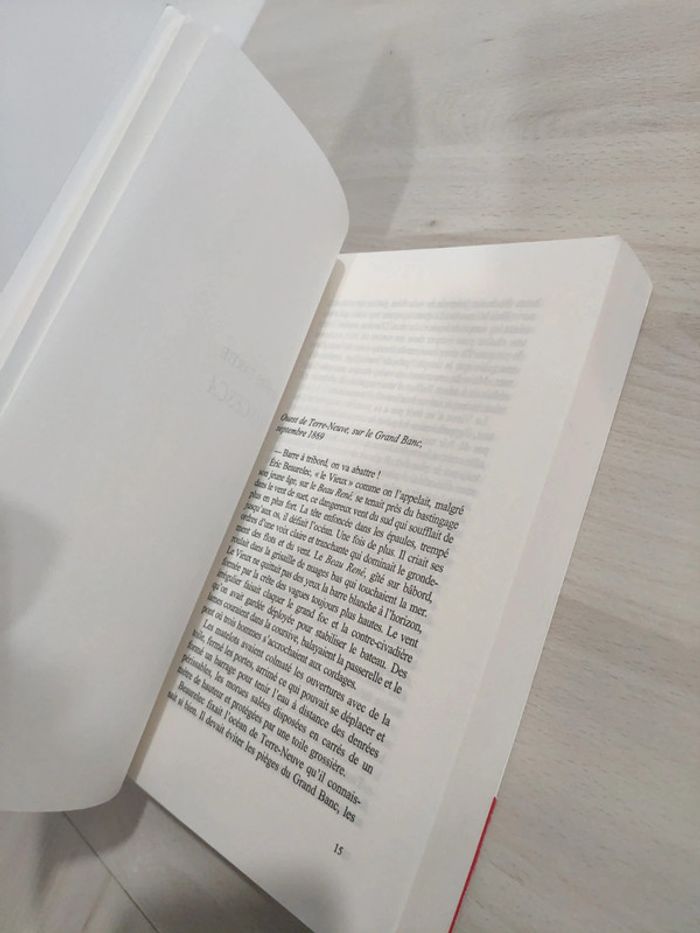 Livre grand format Un violon sur la mer Gilbert Bordes - photo numéro 9