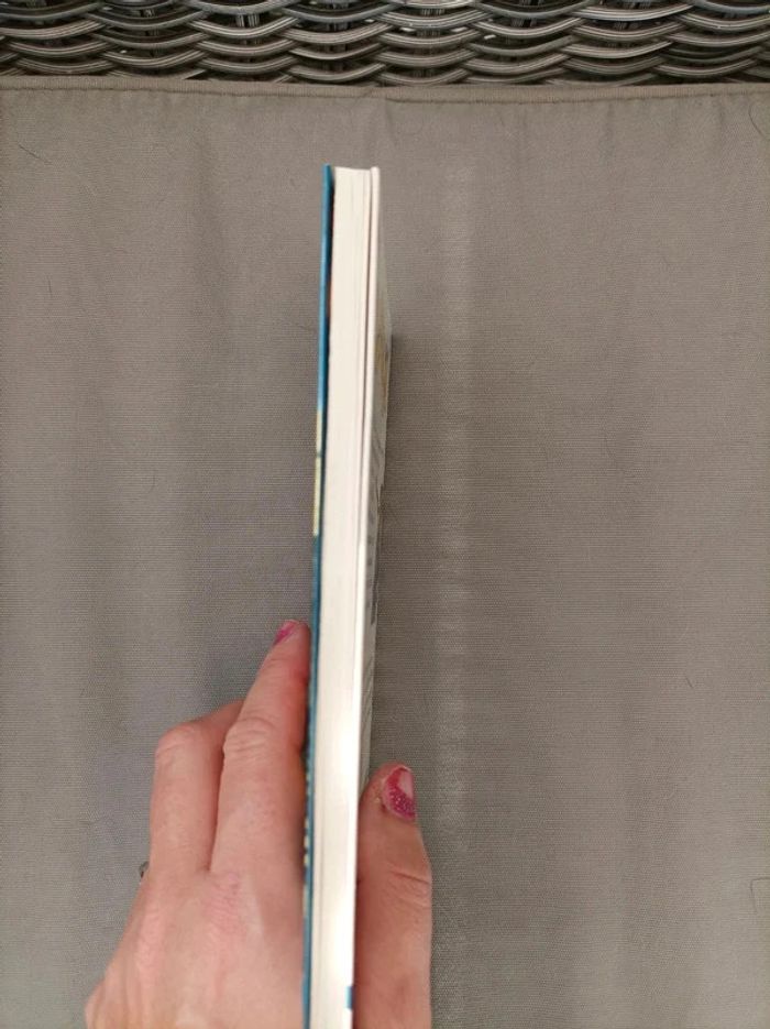 Livre " L école des massacreurs de dragons" tome 1 - photo numéro 3