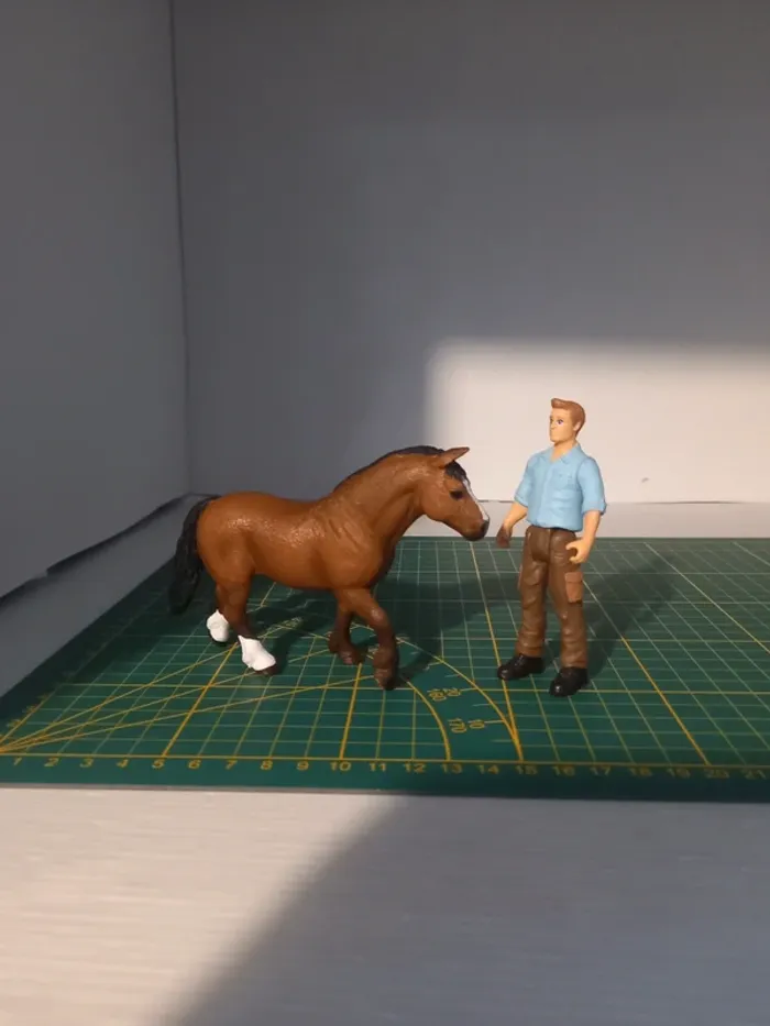 Schleich cheval et homme