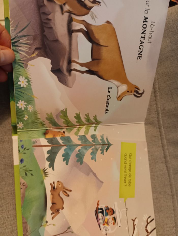 Livre bébé avec flaps a ouvrir ouvre et découvre les animaux neuf - photo numéro 3