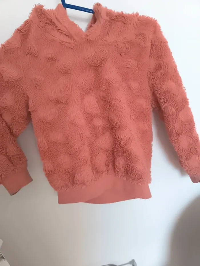 Pull capuche