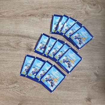 ⭐ Lor cartes Rugby 2023 Panini #emyfleury_cartes