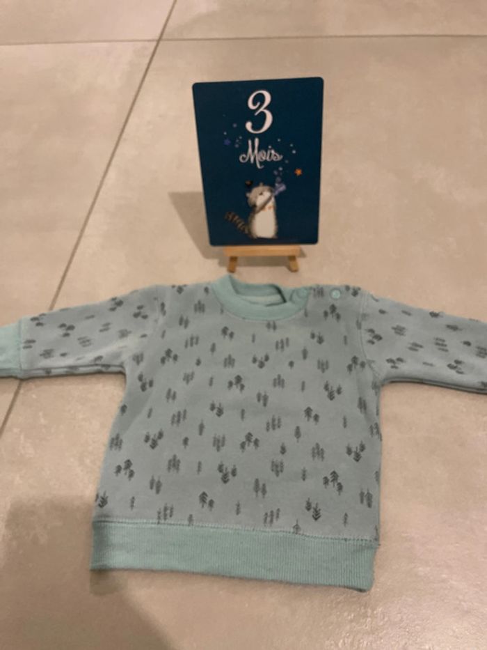 Lot pull - tee-shirt - photo numéro 5