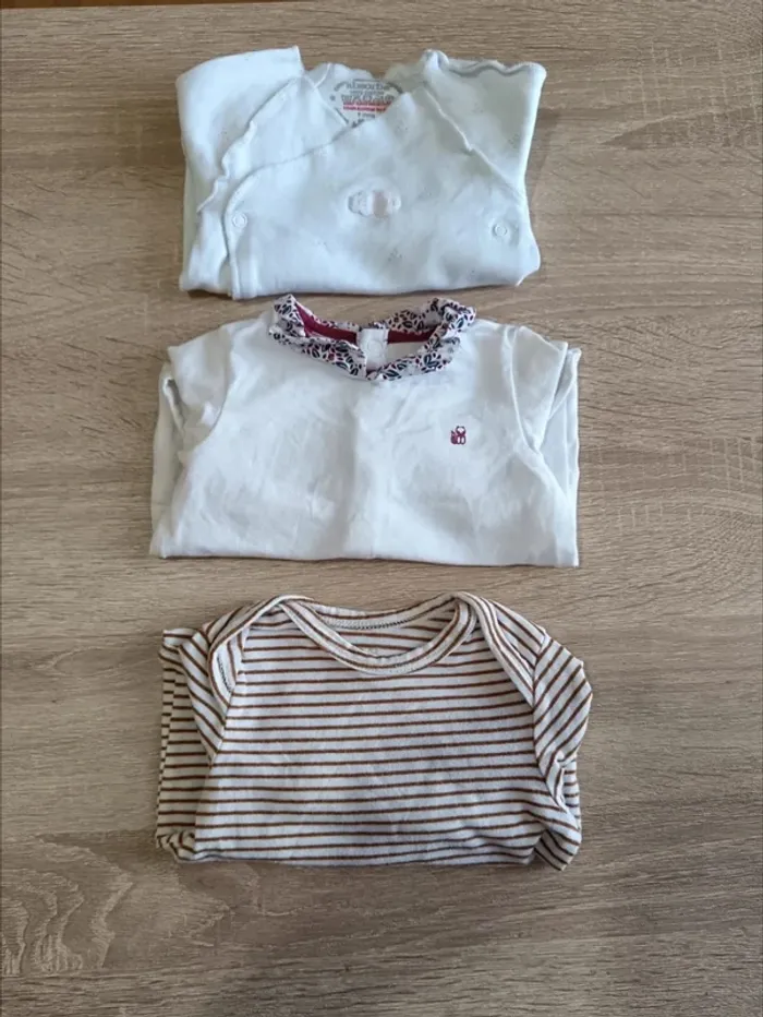 C44 Lot bodies absorba, Tao, obaidi 6 mois