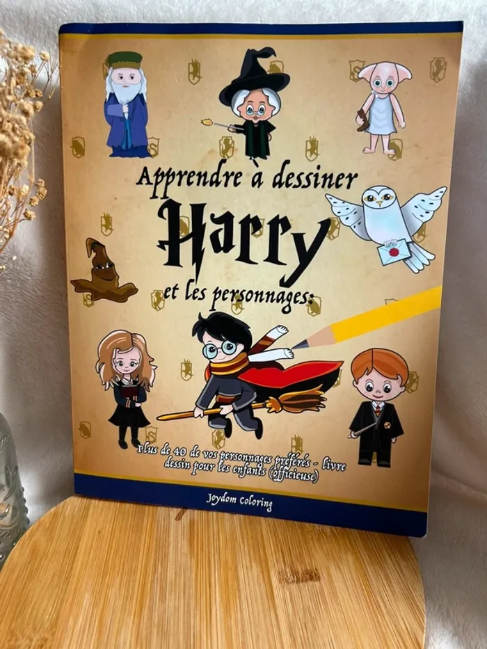 📚 Livre “Apprendre à dessiner Harry Potter et les personnages” - photo numéro 2
