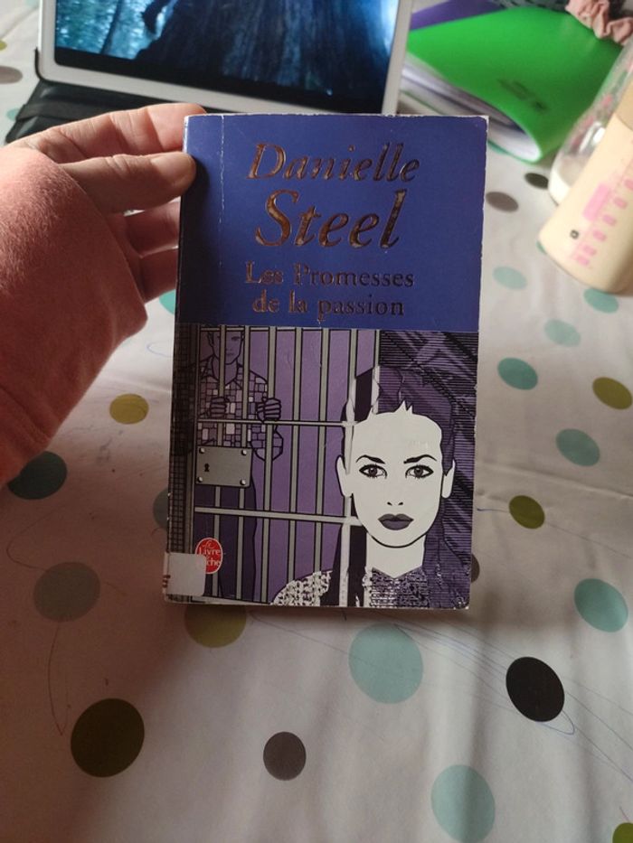 La promesse de la passion de Daniel steel - photo numéro 2