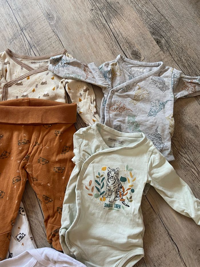 Lots bodies - photo numéro 4