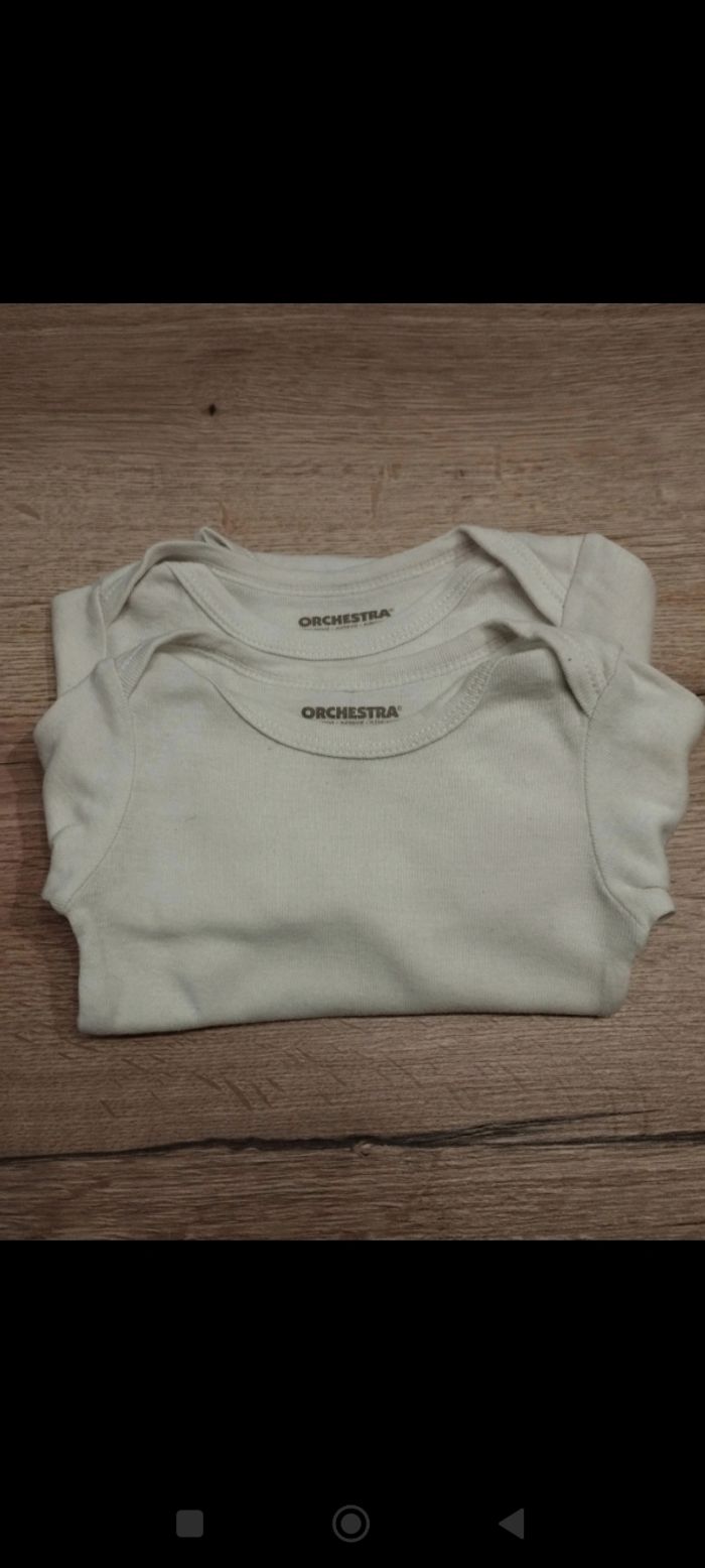 Lot 10 bodies, taille 6mois, collection 2025 - photo numéro 4