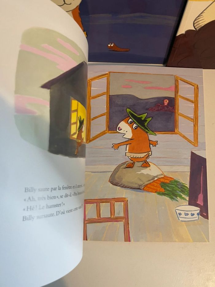 3 livres école des loisirs Billy de Catherina valckx - photo numéro 2