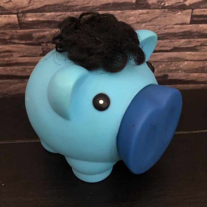 Tirelire cochon incassable