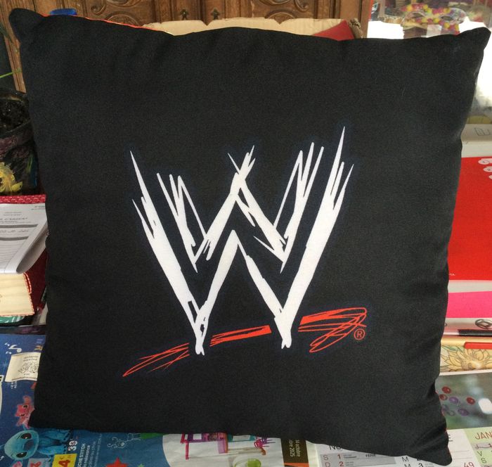 coussin WWE - photo numéro 2