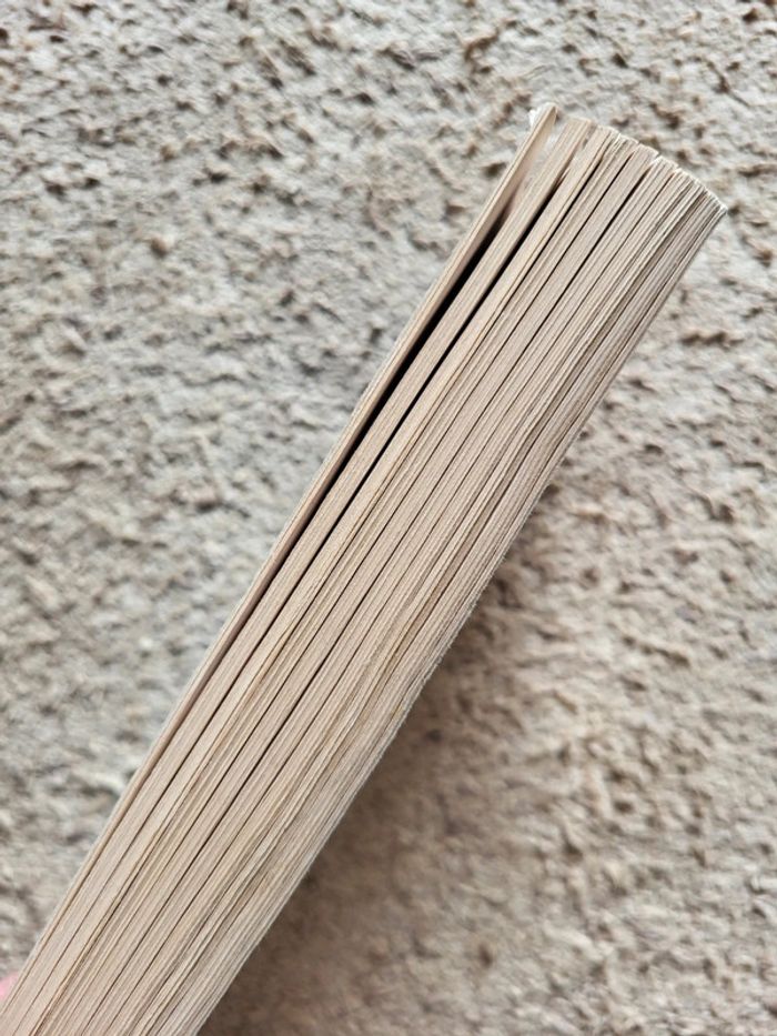 Lot de 2 romans de Sophie Kinsella : L'accro du shopping a une sœur et Samantha bonne à rien faire - photo numéro 11