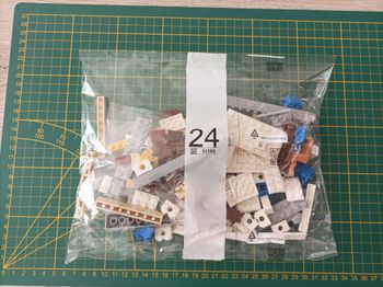 Sachet numéro 24 n°24 complet pour le set Lego Icons 10294 Le Titanic