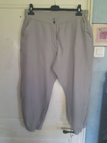 Pantalon grège (gris beige), marque Blanche porte, taille 44