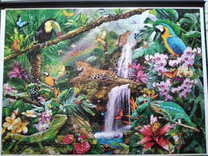 Puzzle 1000 pièces