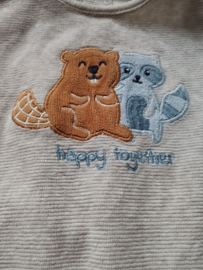 Dors bien castor et raton laveur - photo numéro 2