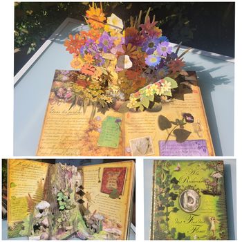 Superbe livre pop-up 🧚 À la recherche des fées des fleurs 🌸