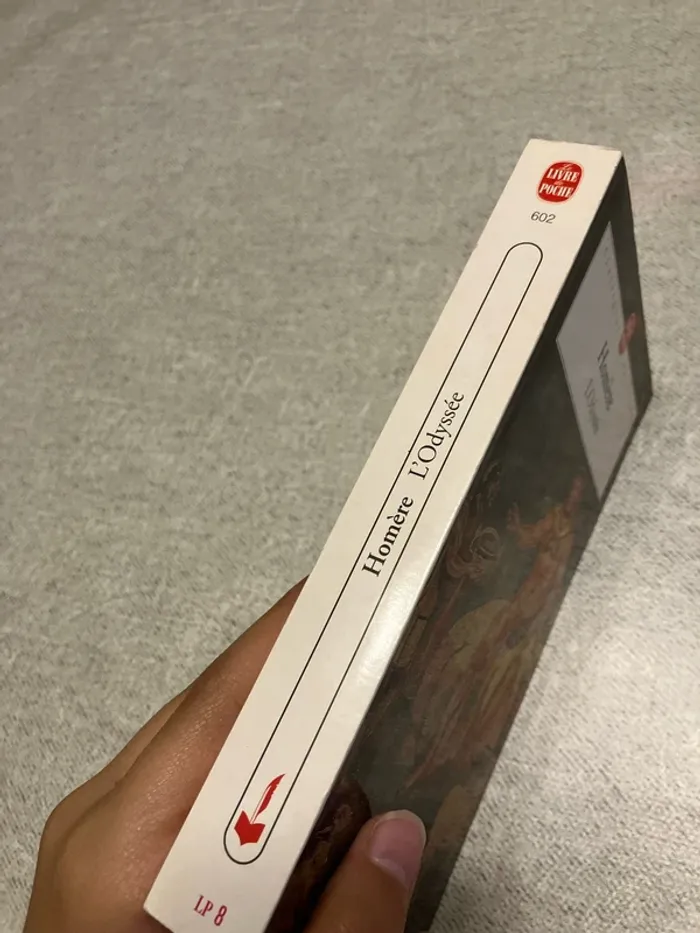 L’Odyssée – Homère - photo numéro 3