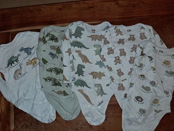 Lot 5 bodies 12-18 mois