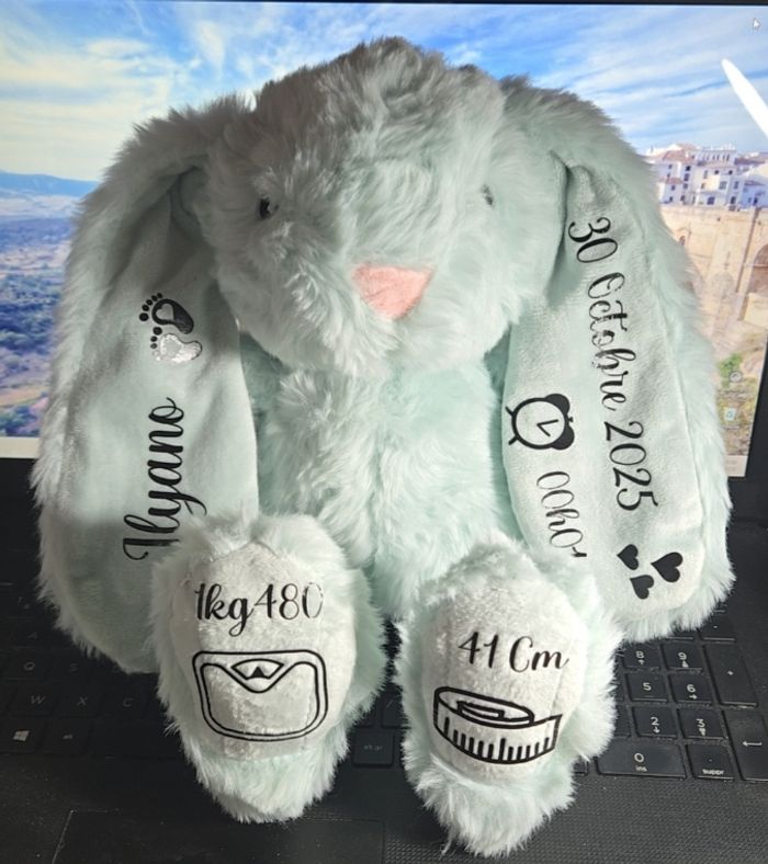 Lapin personnaliser - photo numéro 2