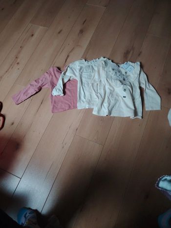 Lot 3 t-shirts manches longues 24 mois