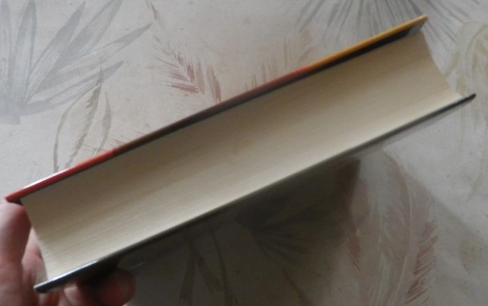 Eternalis de Raymond Khouris Ed. France Loisirs - photo numéro 4