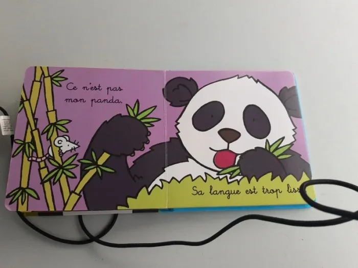 Livre ou est mon panda - photo numéro 5
